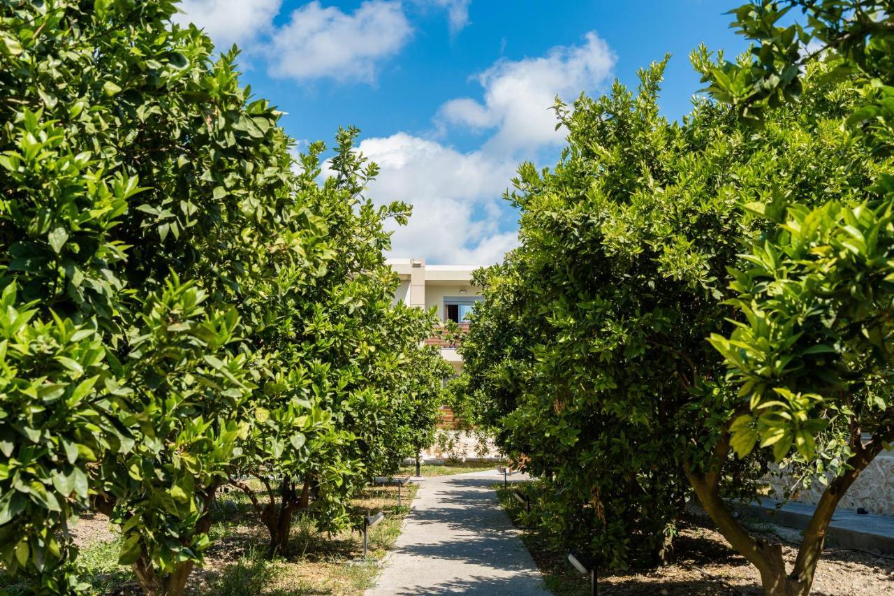 Ilyssion Holidays Apartment Ialysos (Rhodes)